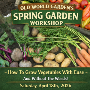 Spring Garden Workshop
